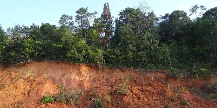 Illustrative image of Landslide assessment in Auckland